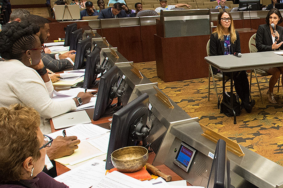 Committee members observe a panel, with audience in background