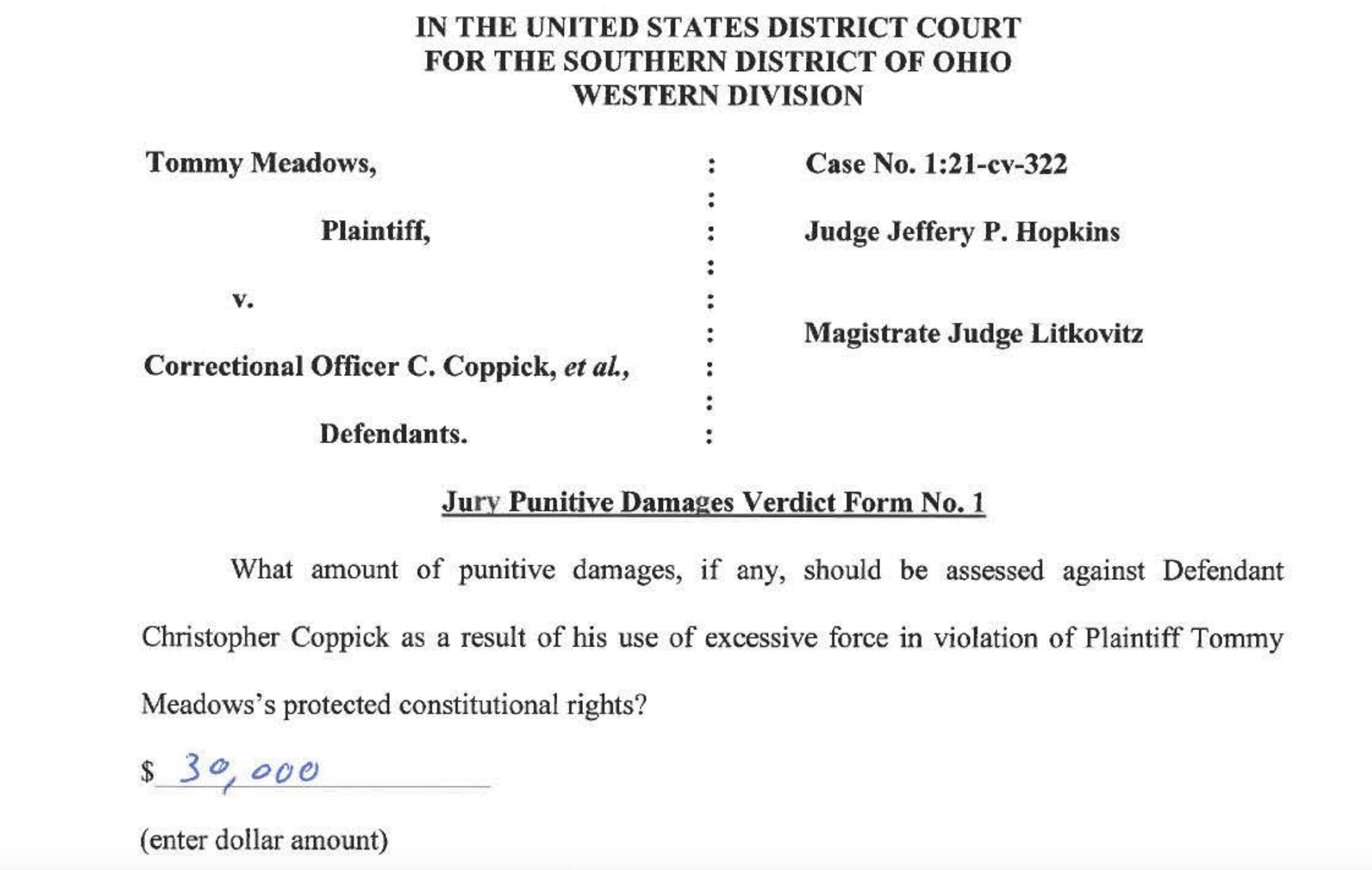 Photo of jury verdict form awarding punitive damages in Meadows v. Coppick from 2025.