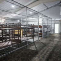 Closely-spaced metal bunk beds behind metal fences in a row in a temporary detention facility