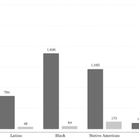 Fig 1.10 - Imprisonment Rates by Gender and Race