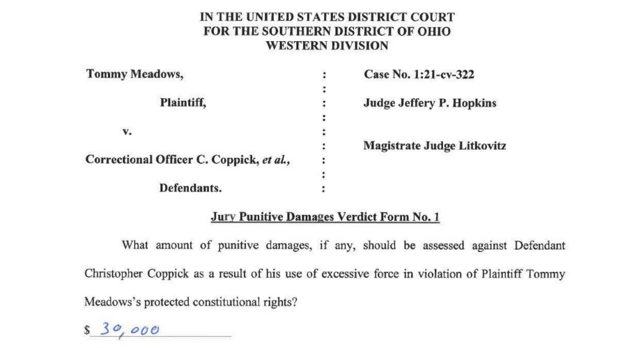 Photo of jury verdict form awarding punitive damages in Meadows v. Coppick from 2025.